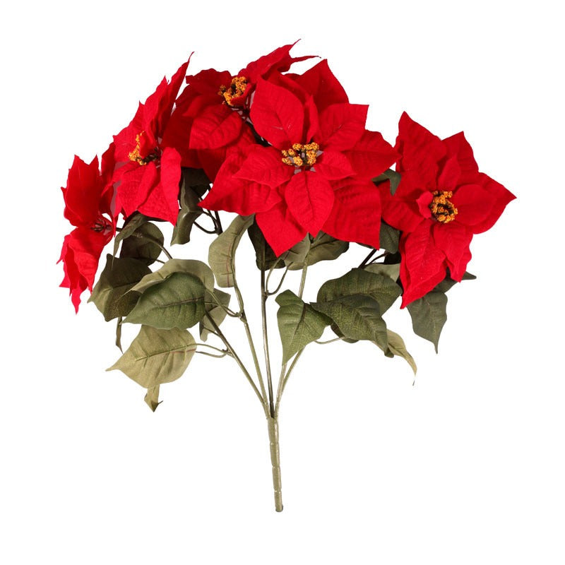 Large Poinsettia Bush (20 Inch)