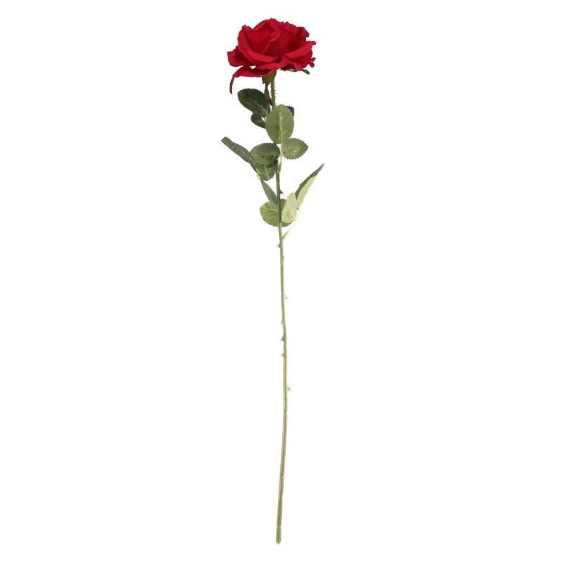 Arundel Open Rose Red