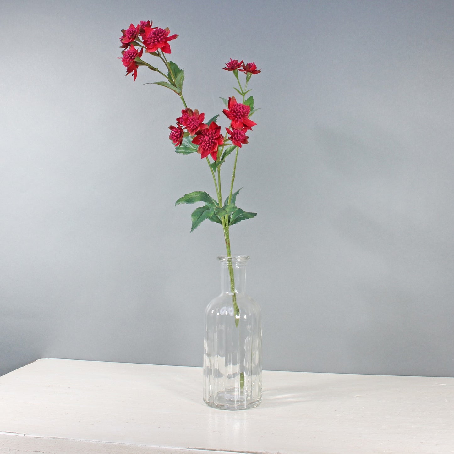 Red Astrantia with 14 Flowers (50cm)