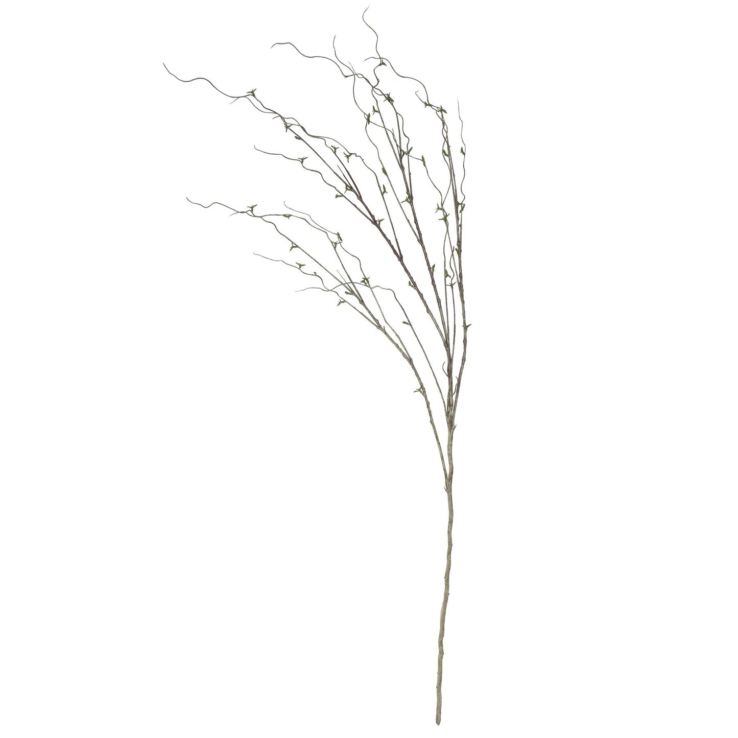 Twig in Leaf