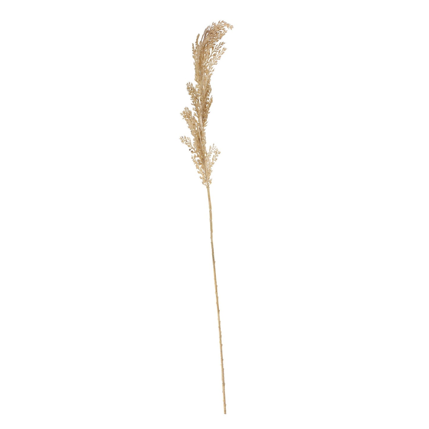Dry Grass Spray (65cm)