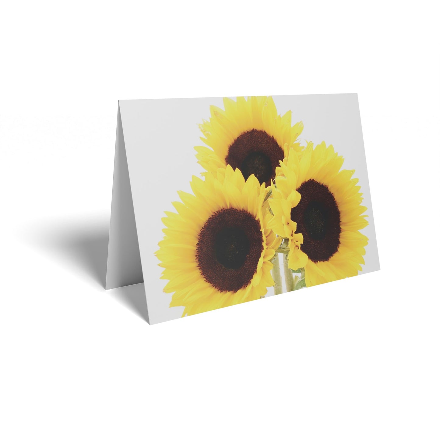 Sunflowers Folded Card with Care Info (pack of 25)