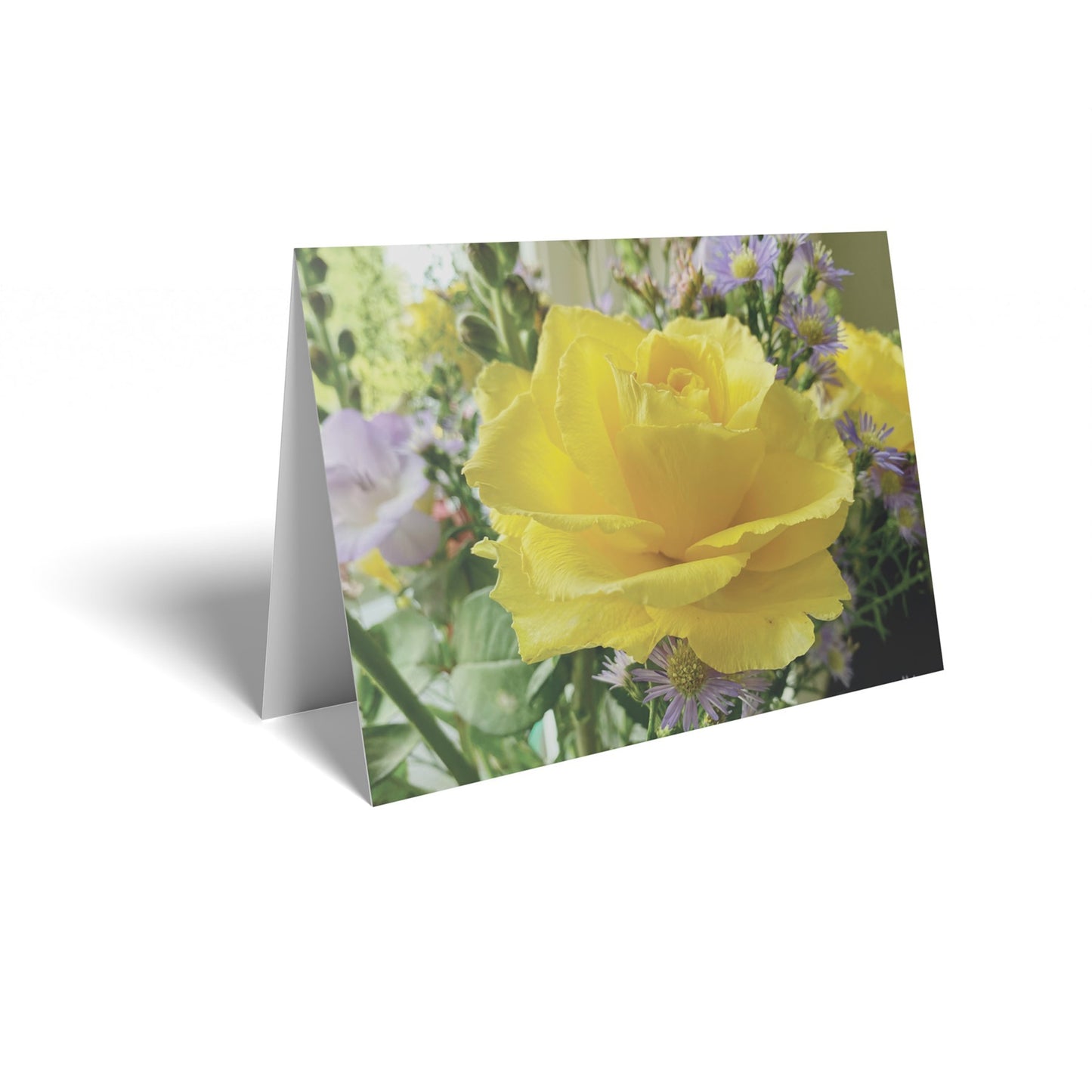 Yellow Rose Folded Card with Care Info (pack of 25)