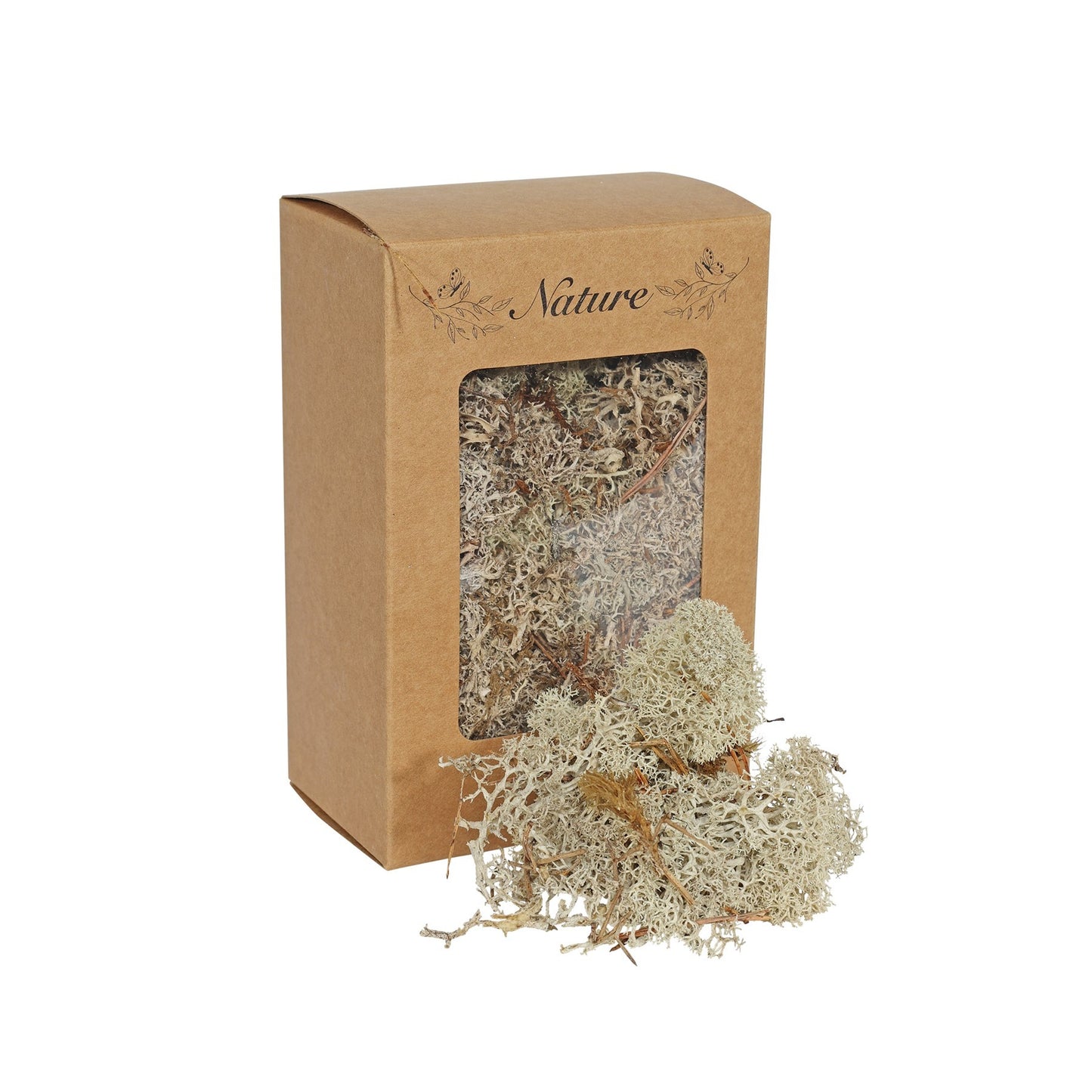 Reindeer Moss Natural in Box (100g)