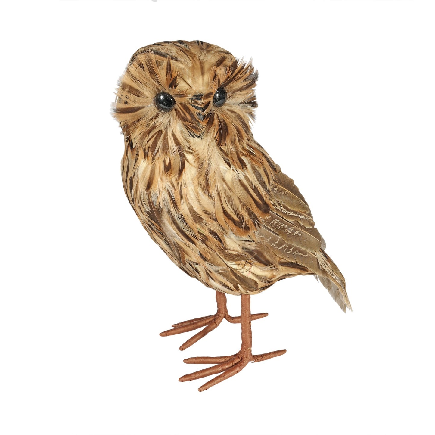 Large Tawny Owl