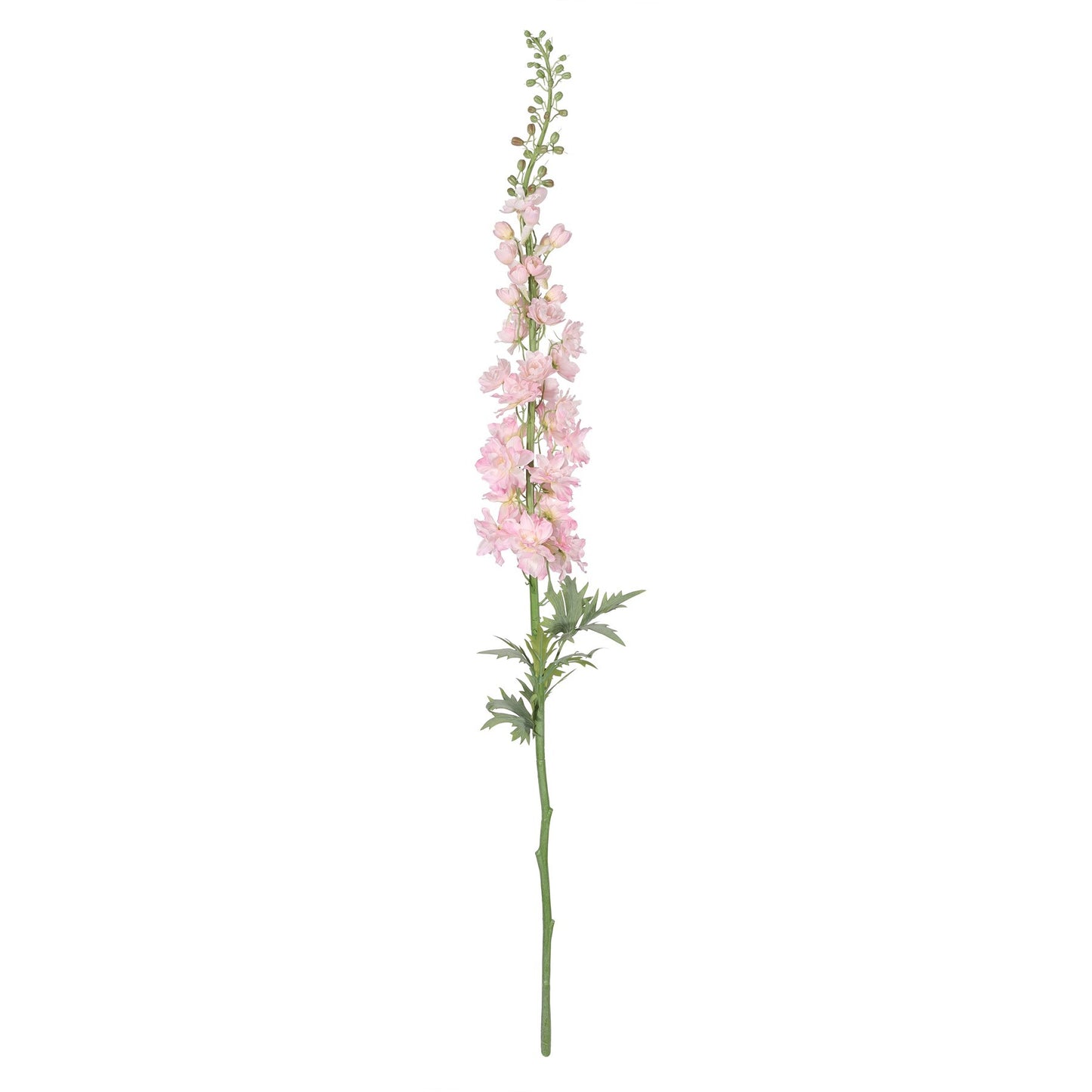 Botanica Giant Pink Delphinium (137cm)
