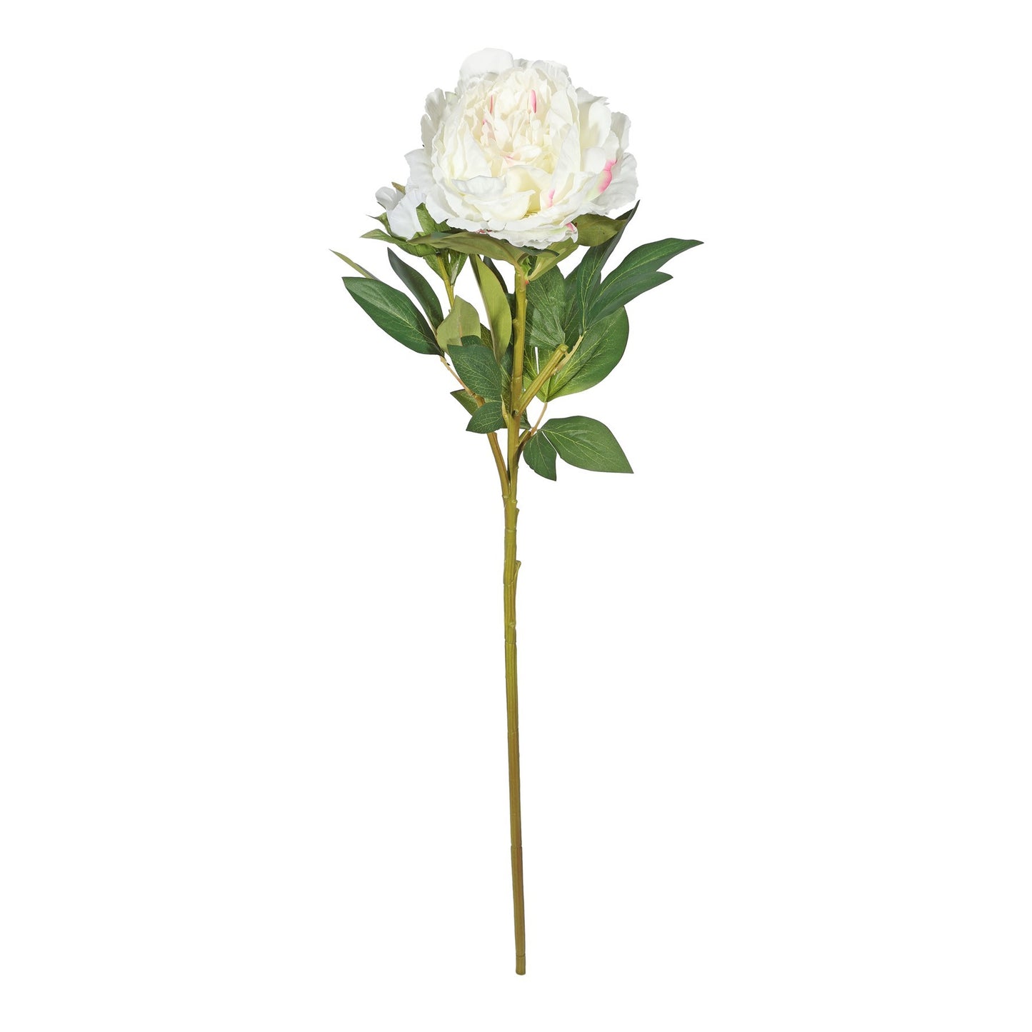 Botanica Giant White Peony (91cm)