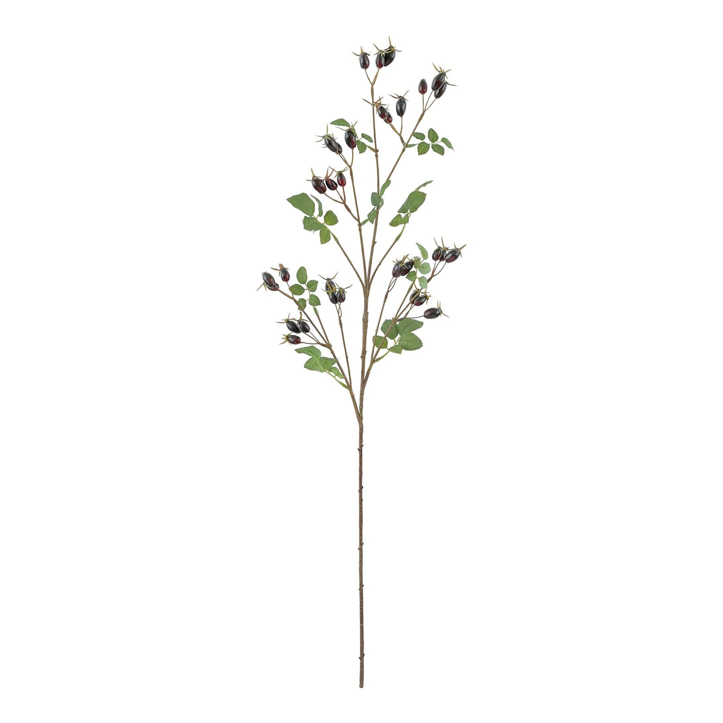 Dark Purple Rose Hip Spray (95cm)