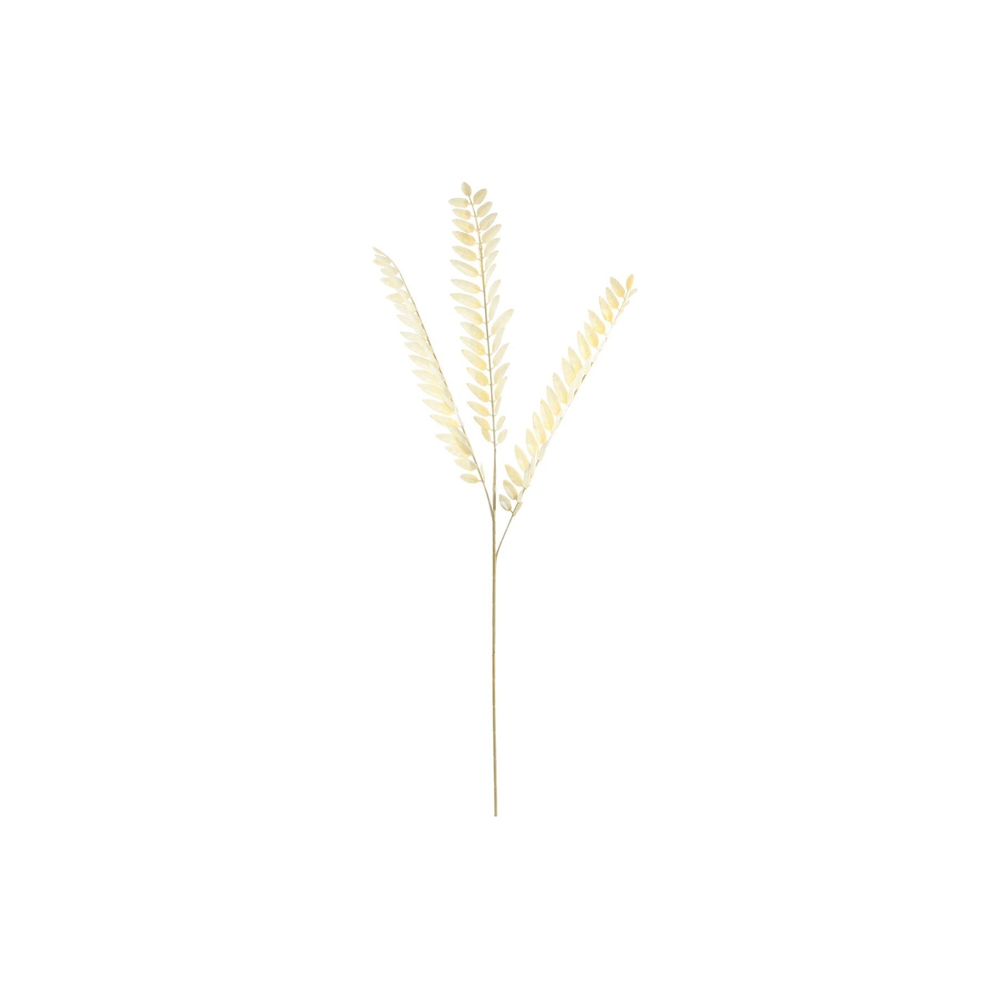 Essential Dry Look Bleached Fern Spray (78cm)