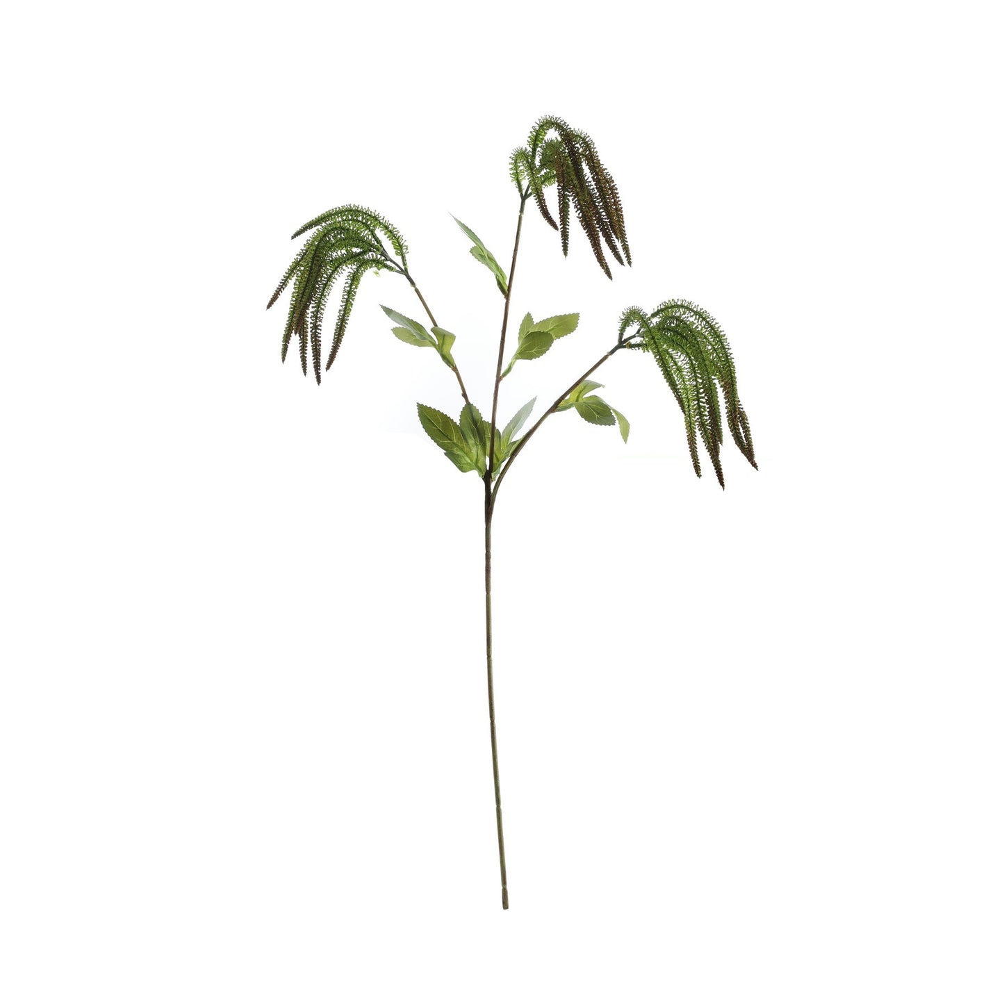 Essential Green Catkin Spray (76cm)