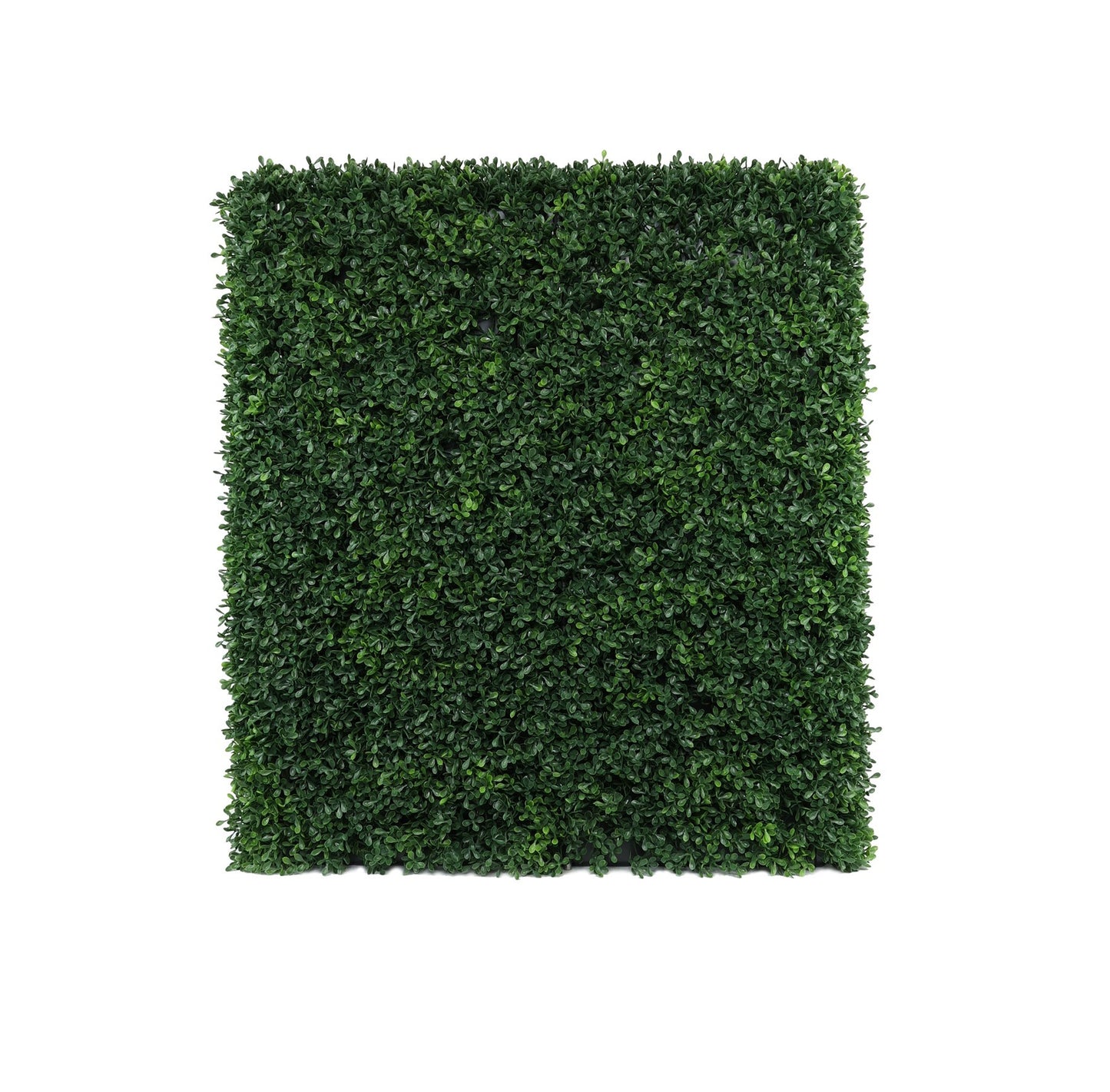 UV Botanica Hedge (66 x 76cm)
