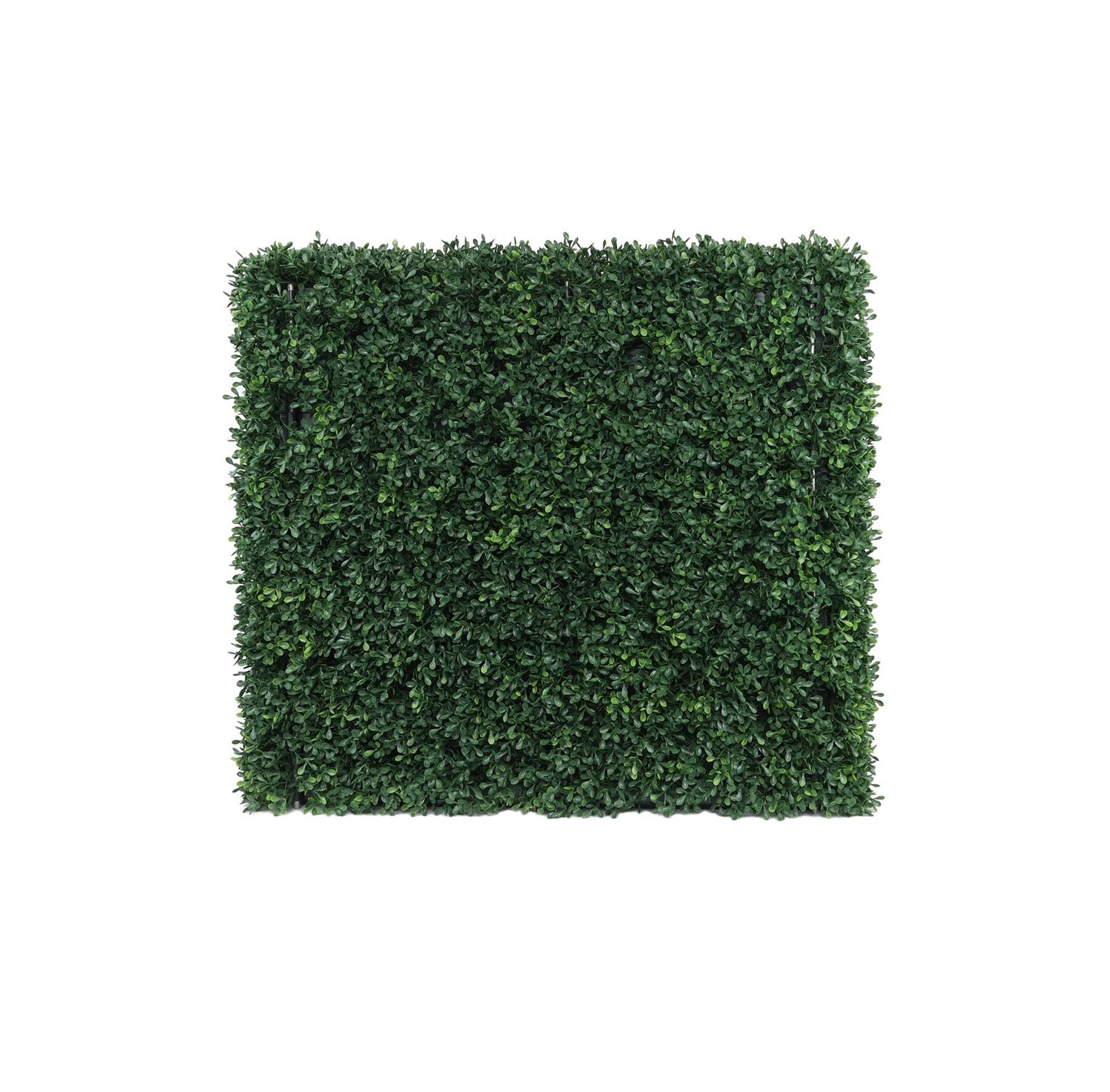UV Botanica Hedge (66 x 62cm)