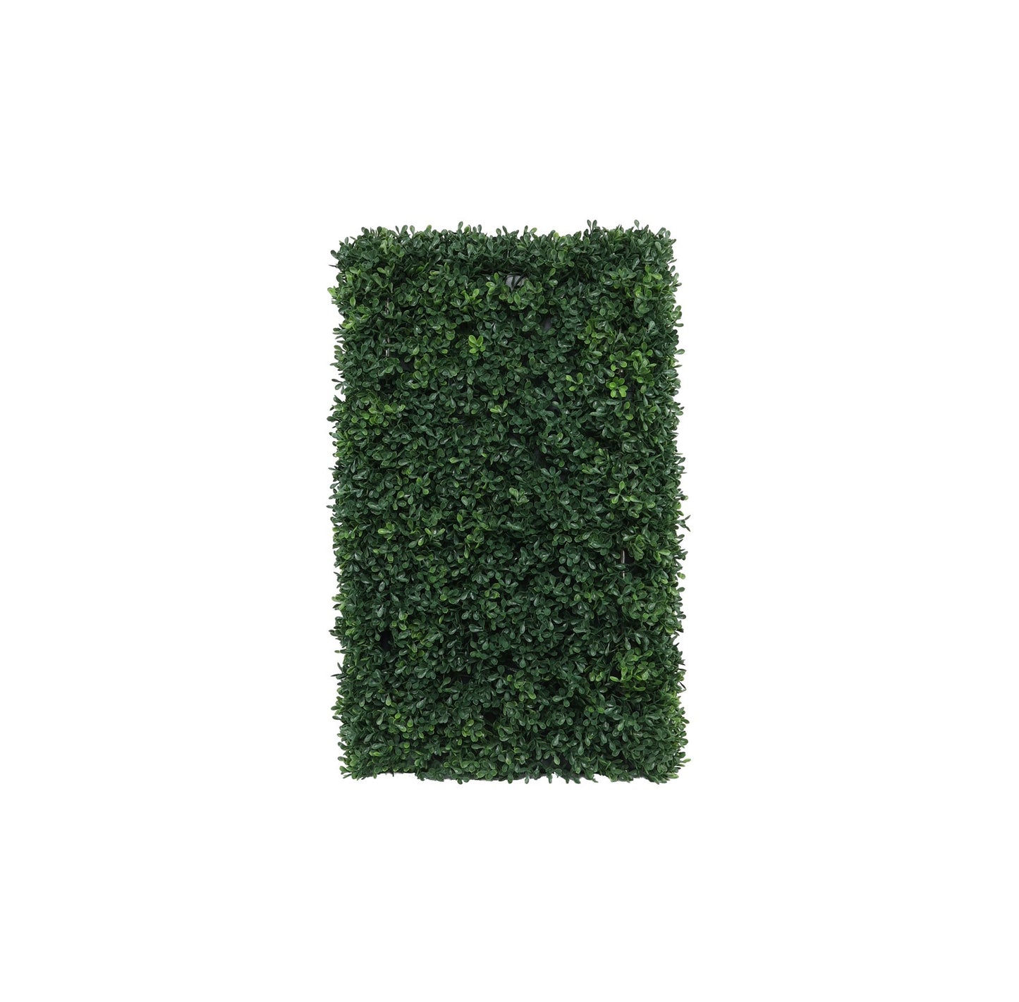 UV Botanica Hedge (37 x 62cm)