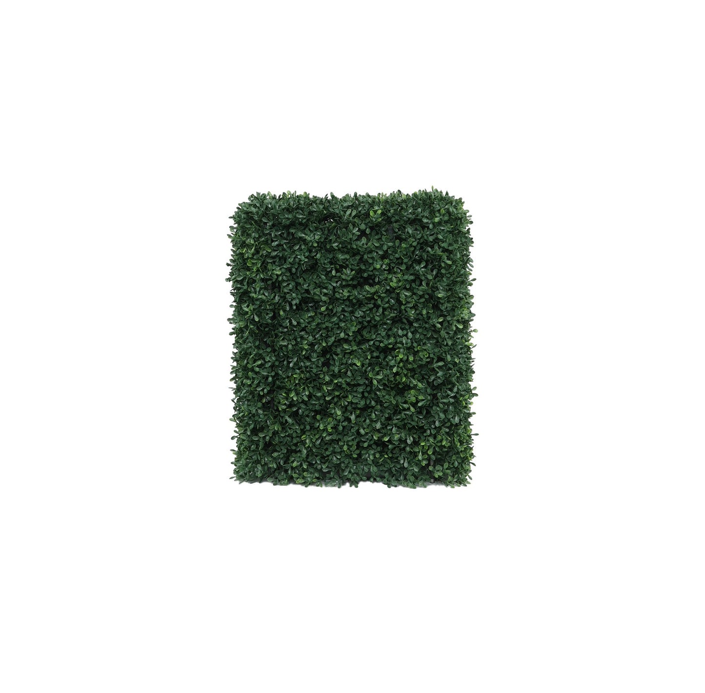 UV Botanica Hedge (37 x 48cm)