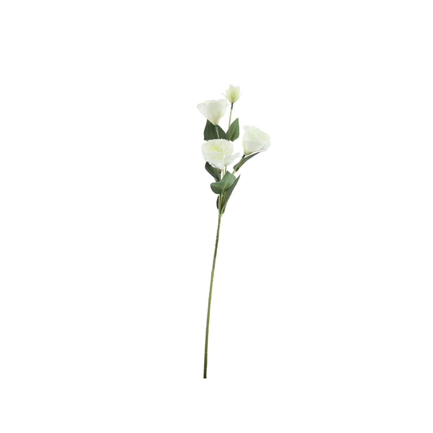 Essential White Lisianthus (70cm)