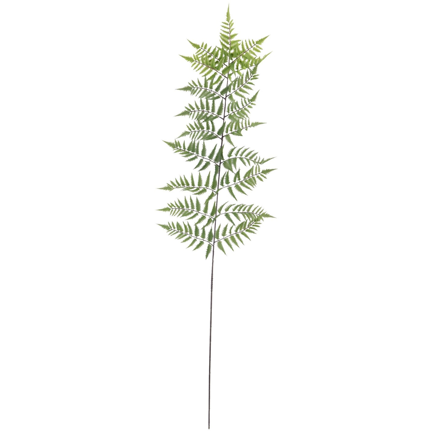 Botanica Tree Fern Leaf (178cm)