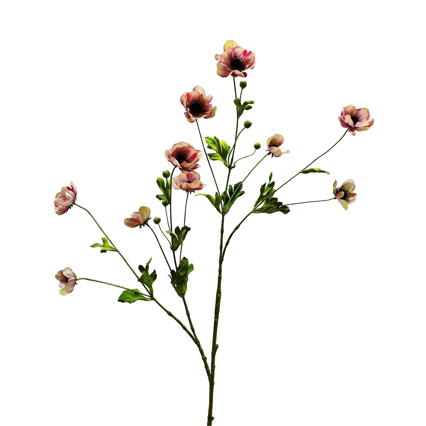 Botanica Pink Anemone Spray (111cm)