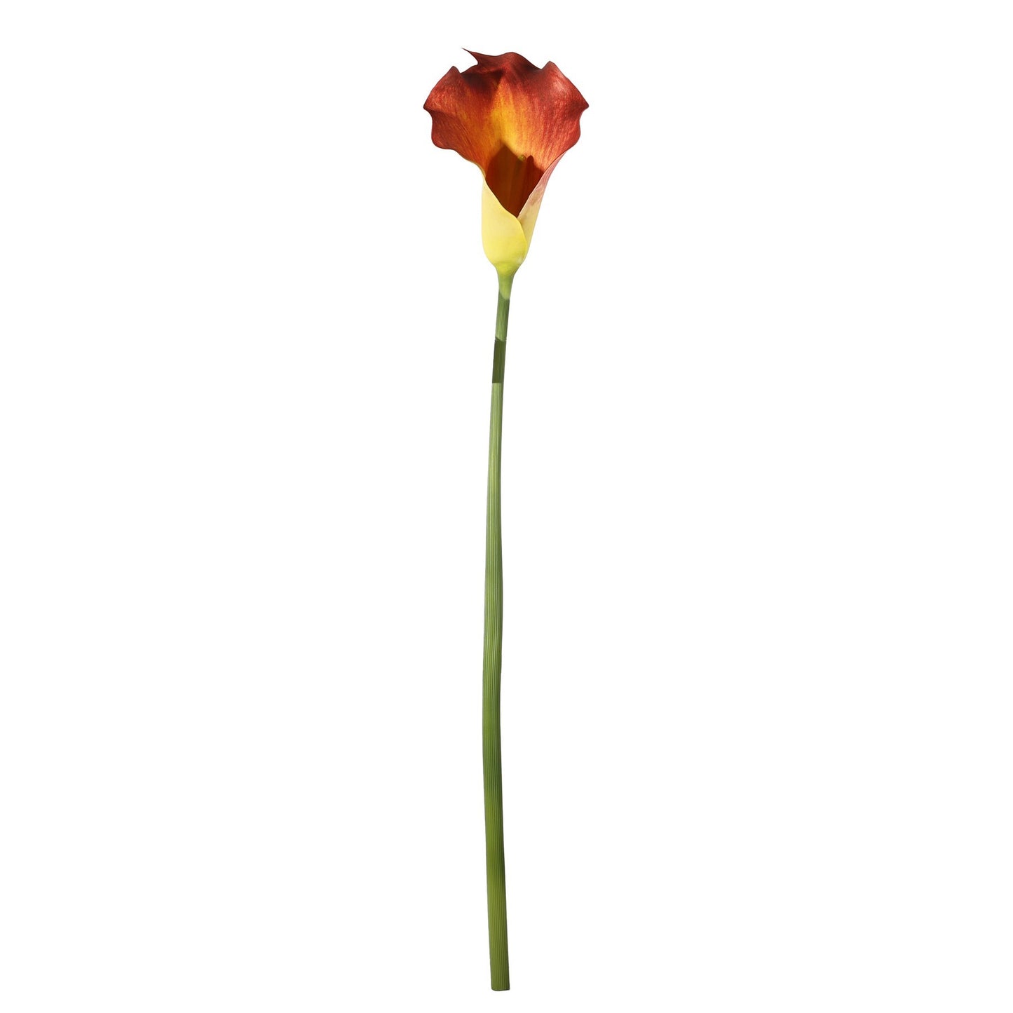 Botanica Large Mango Calla Lily (82cm)