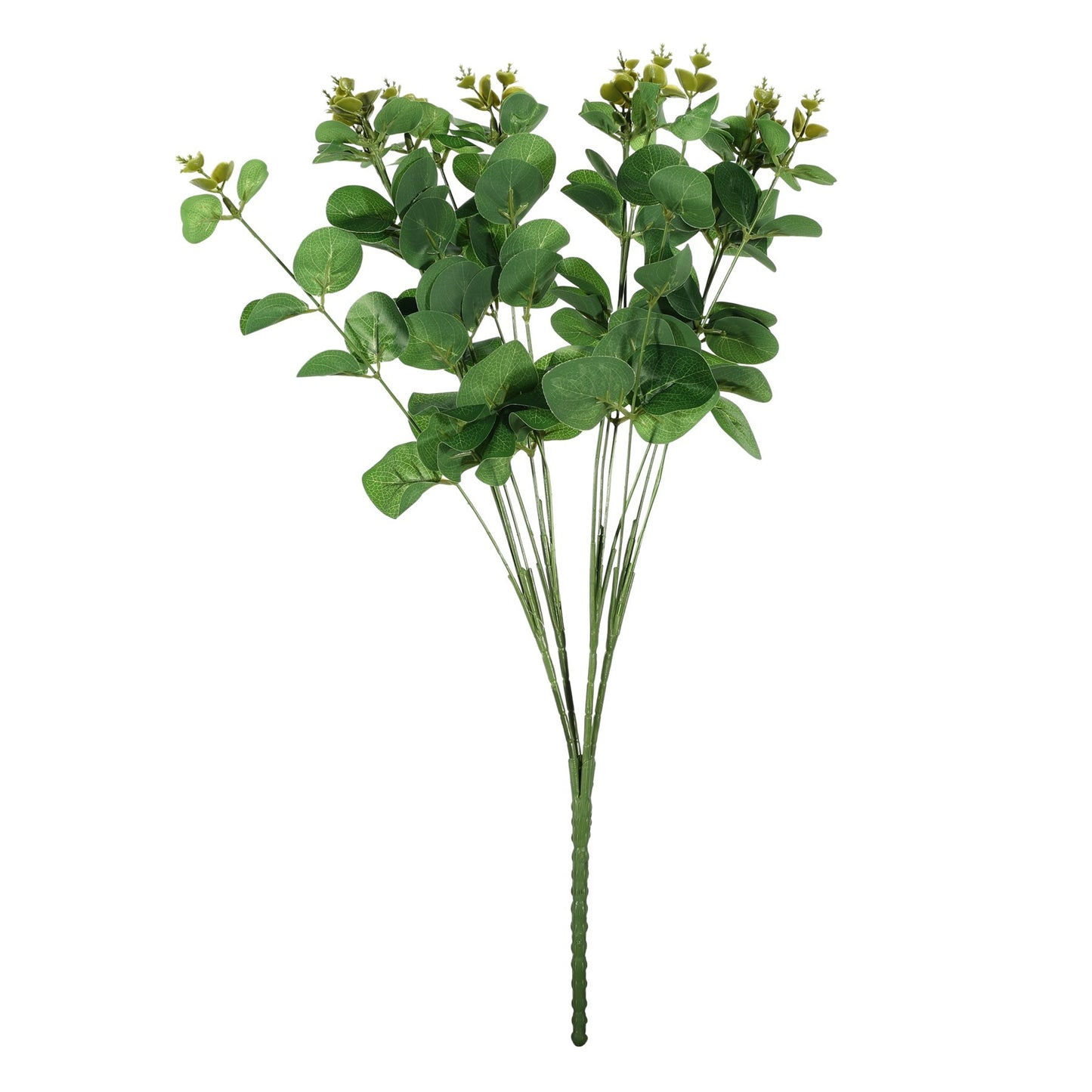 Dark Green Eucalyptus Bush