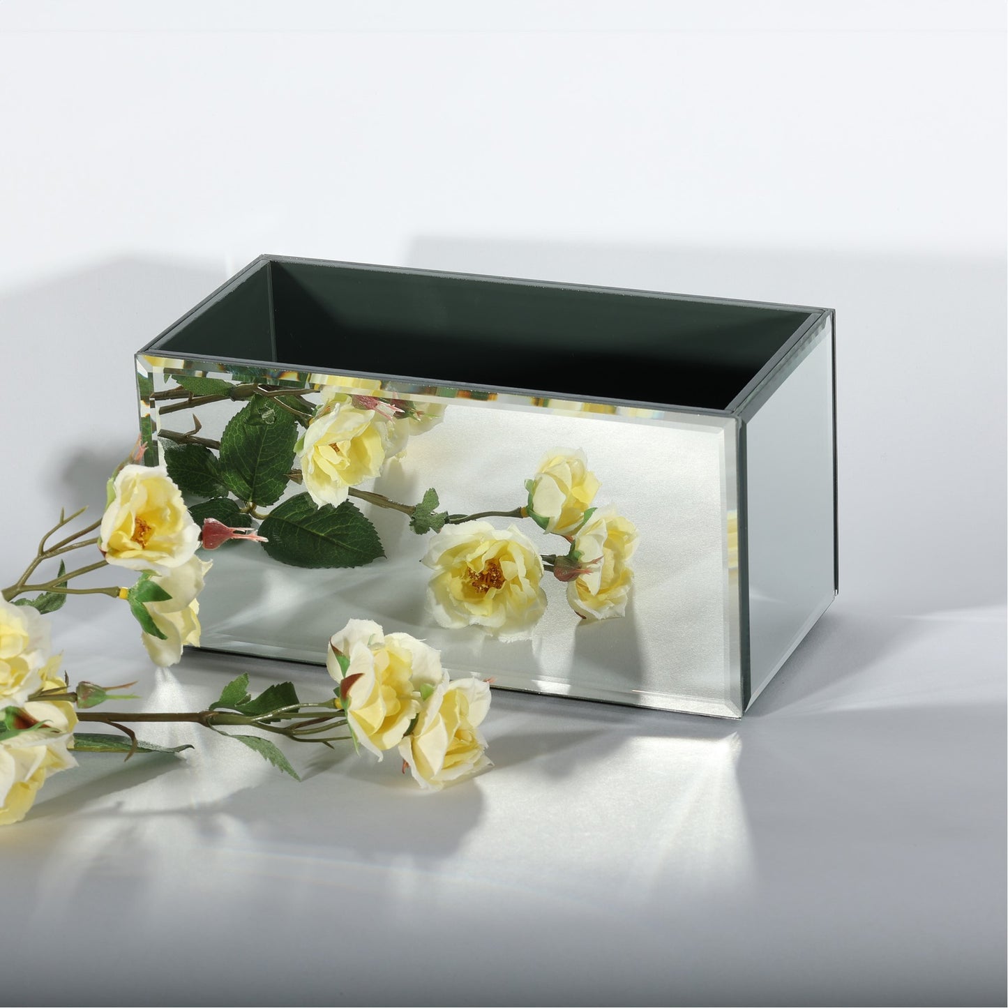 Mirror Rectangular Trough Planter (20cm L)