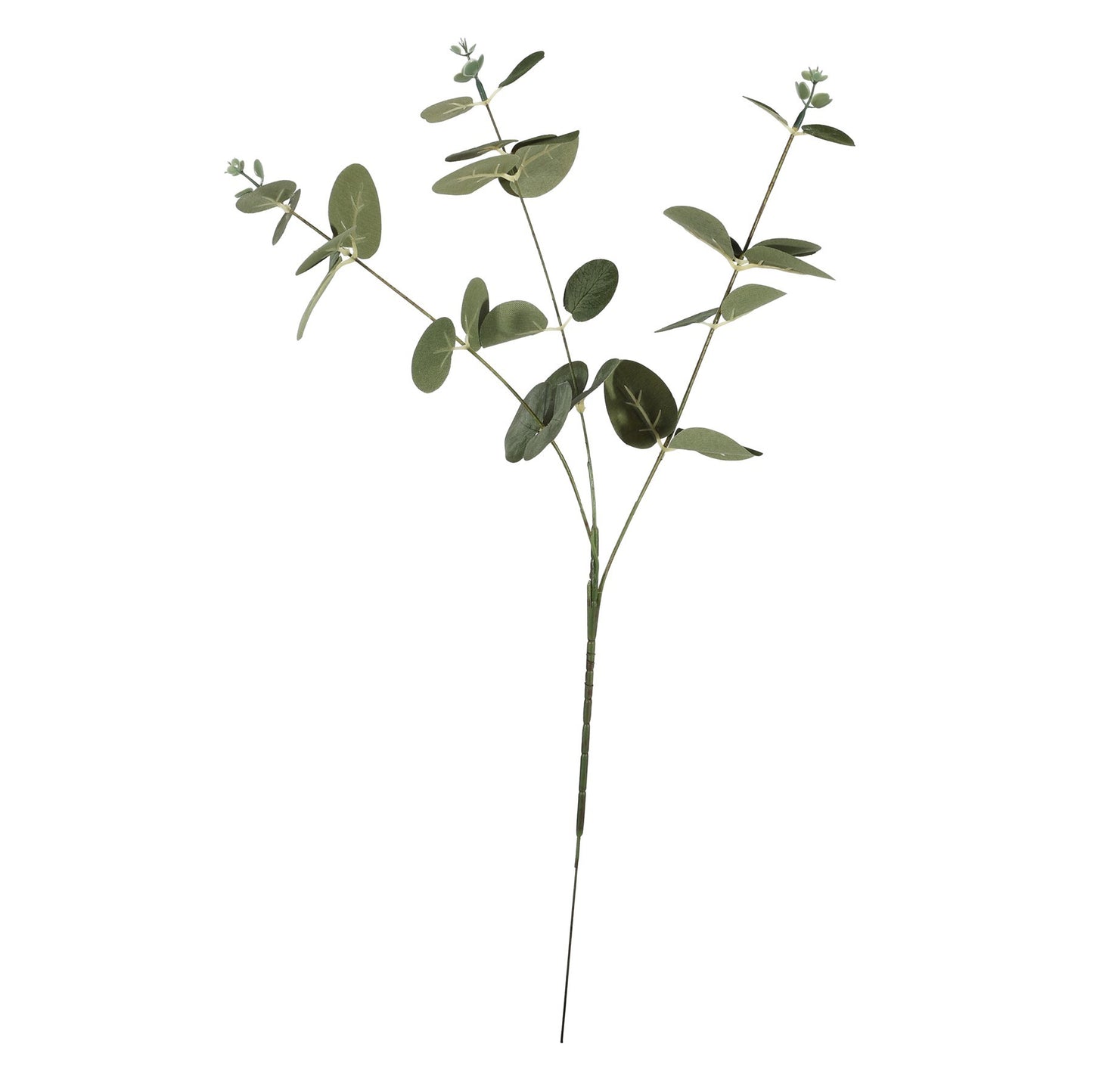 Essential Silver/Green Eucalyptus