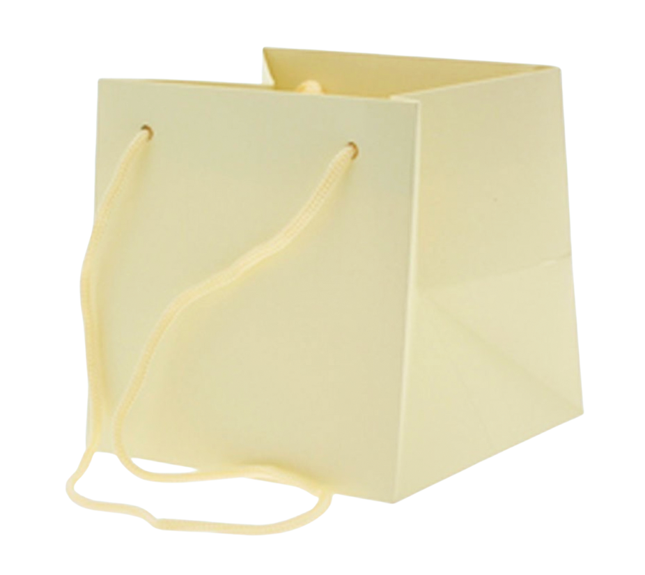 Small Ivory Hand Tie Bag
