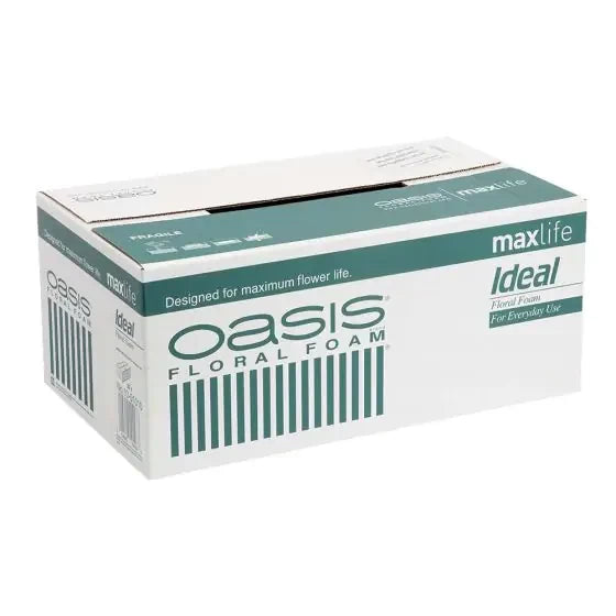 Oasis Ideal Foam Maxlife Brick (20 pk)