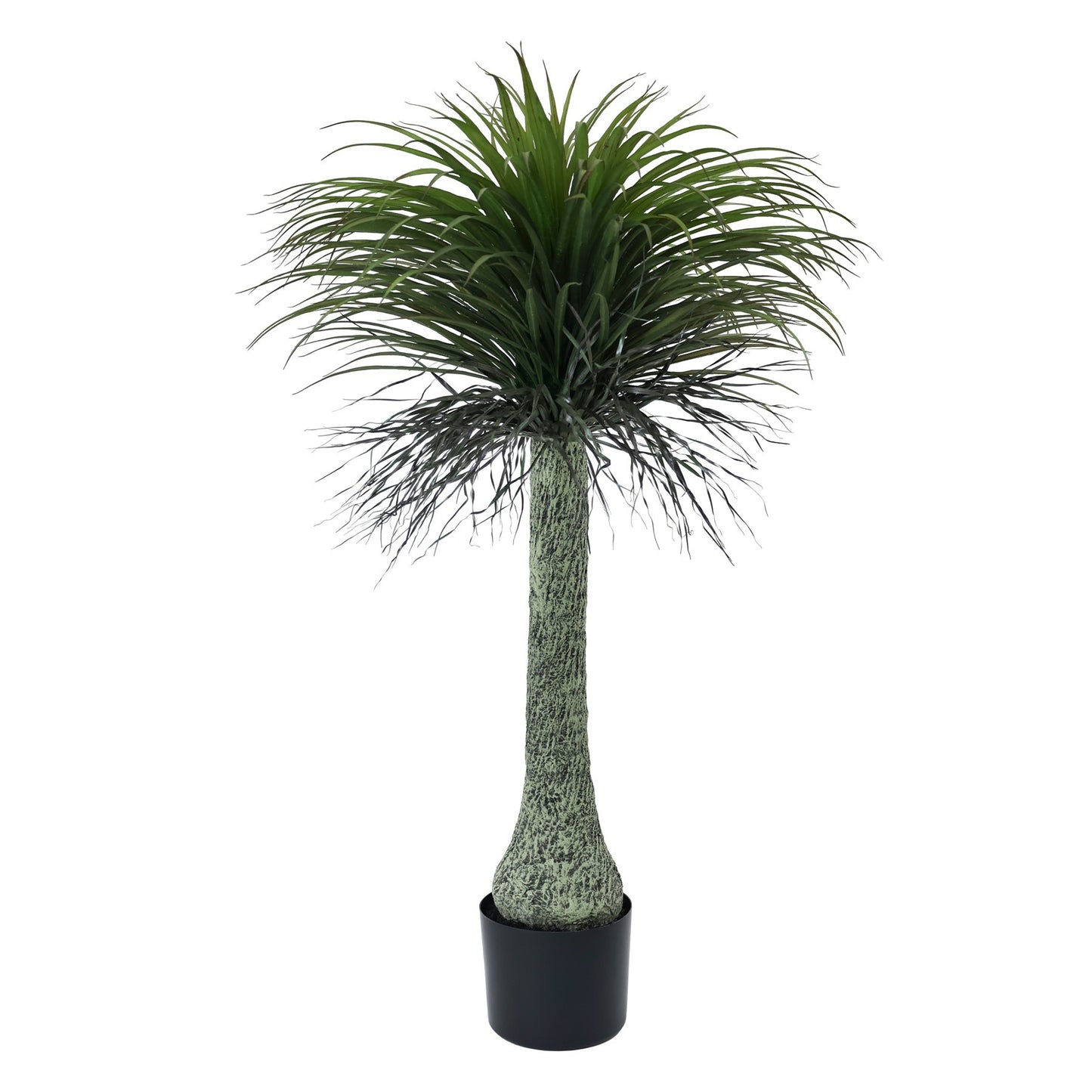 Botanica Yucca Tree in Pot (135cm)