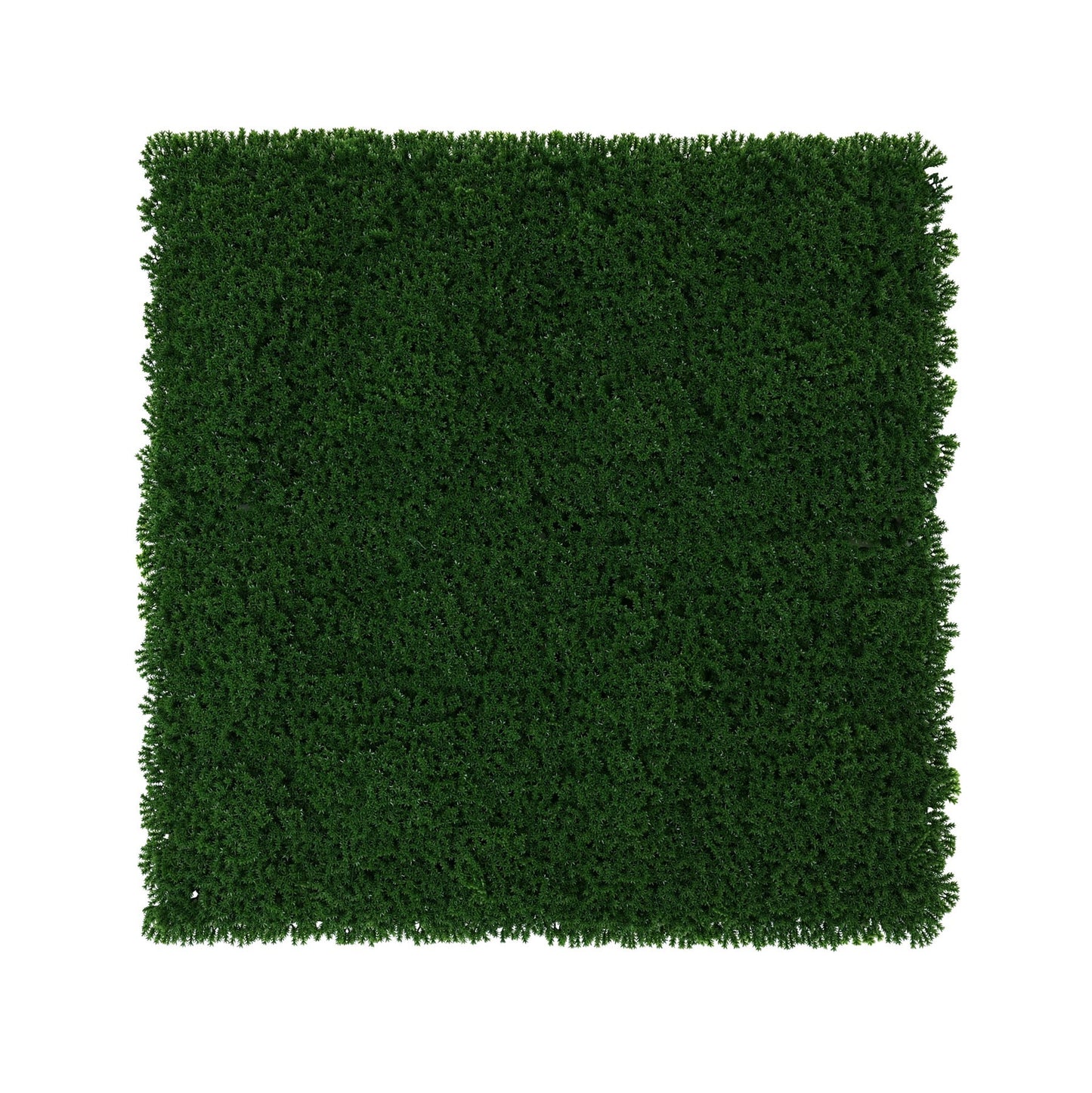 Dark Green Exterior Moss Wall (50x50cm)