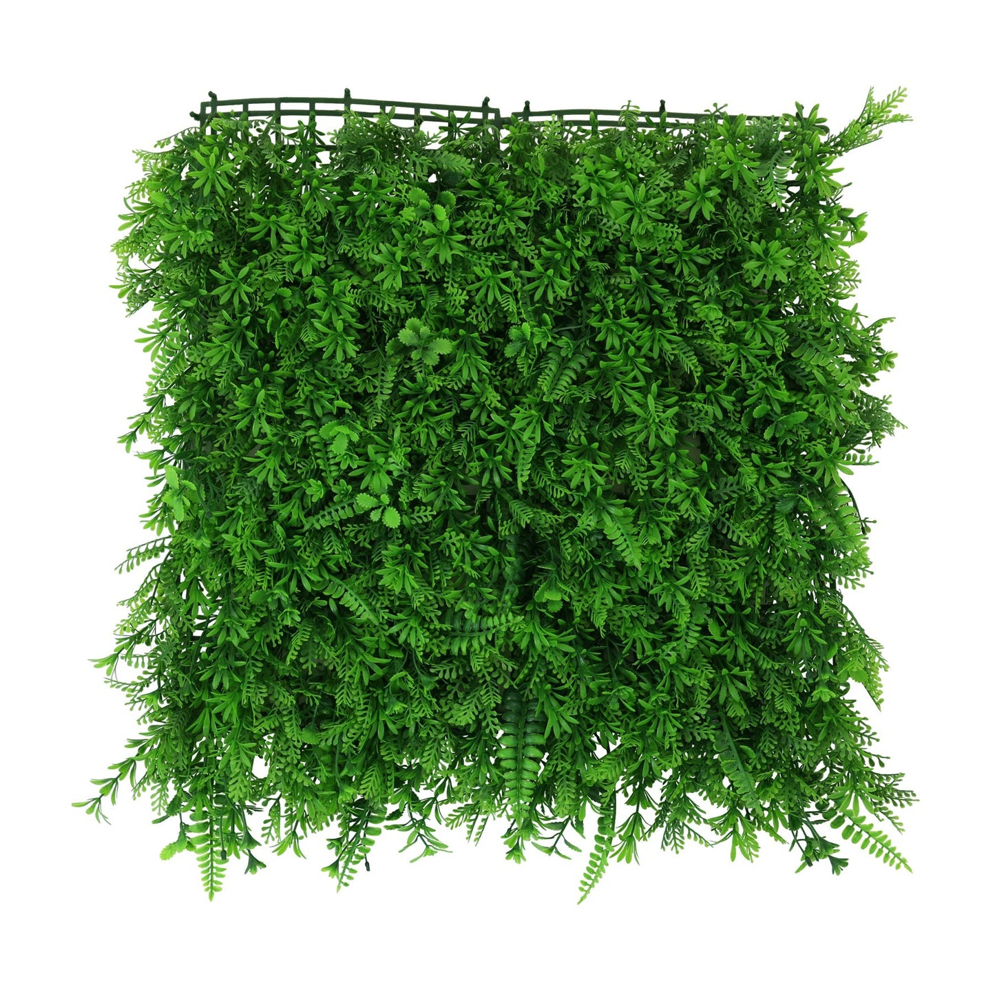 Green Mini Fern Wall (50x50cm)