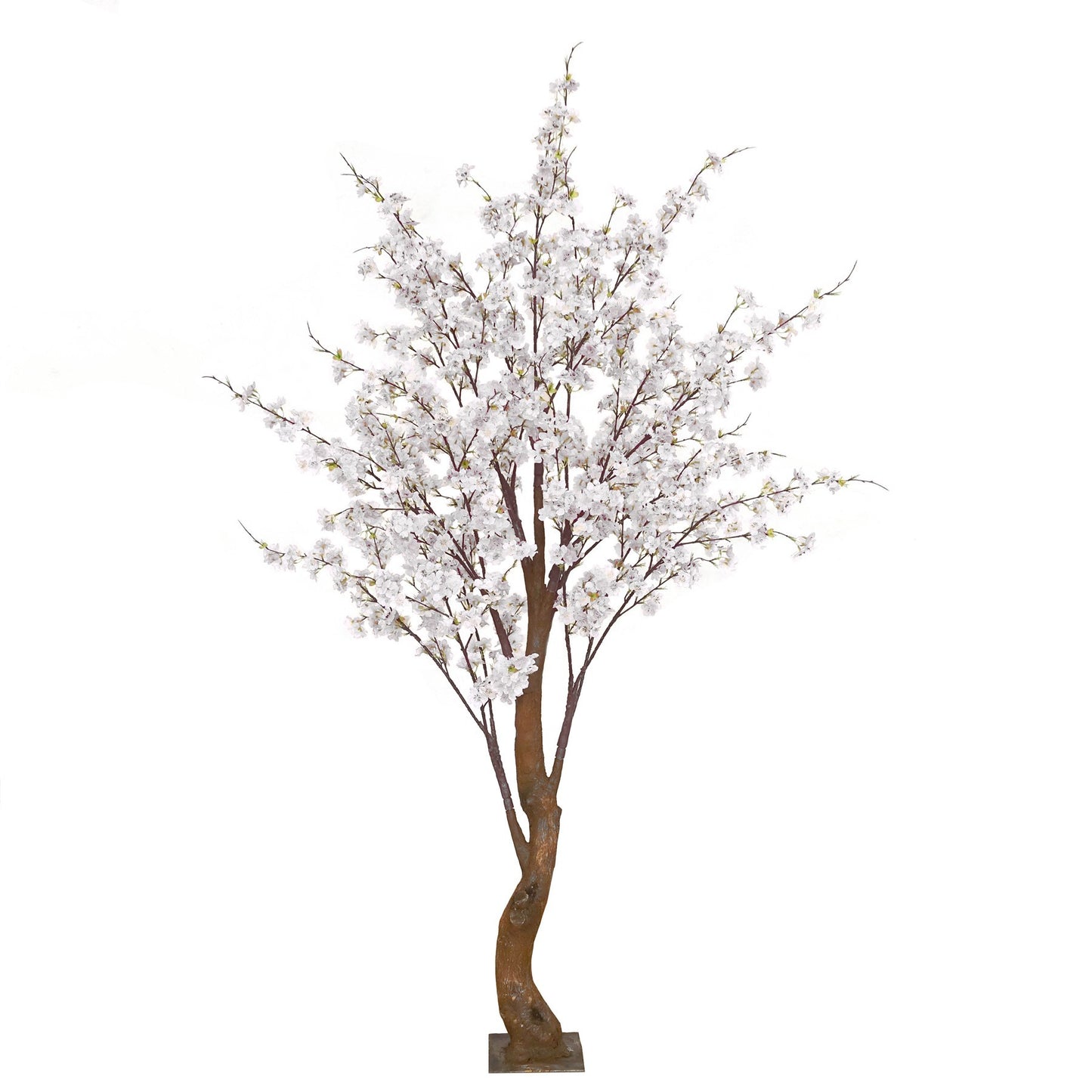 White Yoshino Blossom Tree (1.8m)