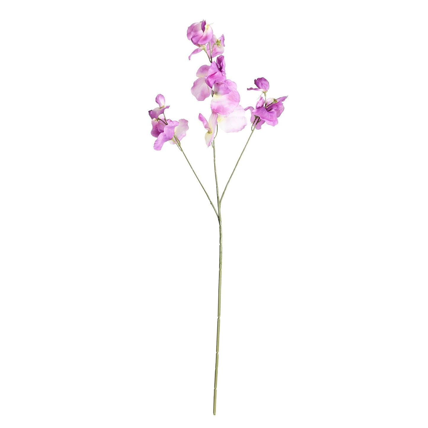 Purple Botanica Sweet Pea (73cm)