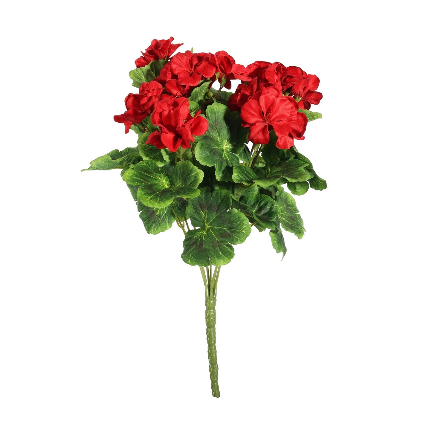 Geranium Red Bush (40cm)