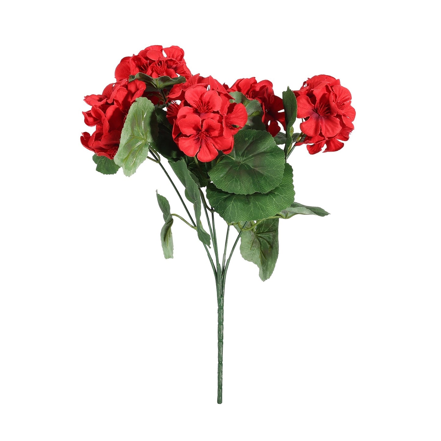 Geranium Red Bush (35cm)