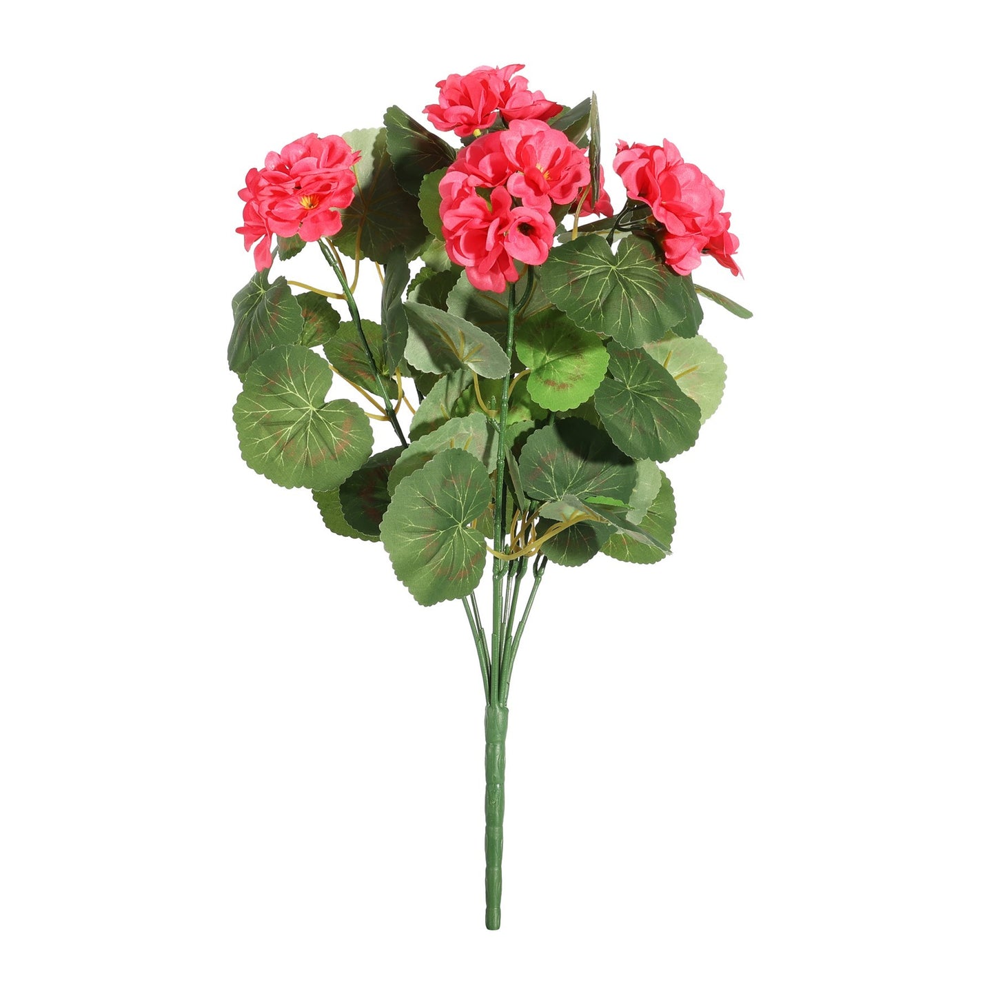 Essentials Dark Pink Geranium Bush - 7 Stems (40cm)