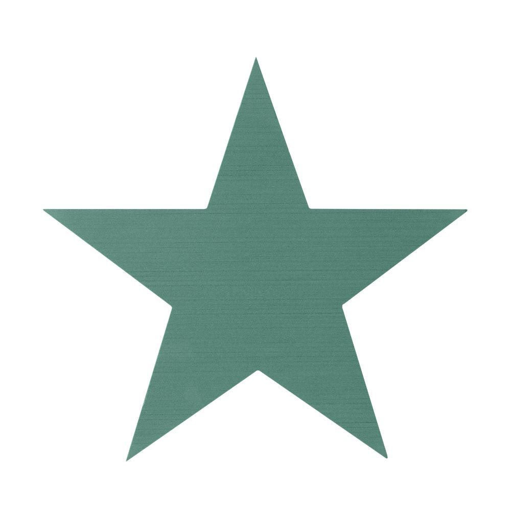Oasis Foam Large 5 Point Star