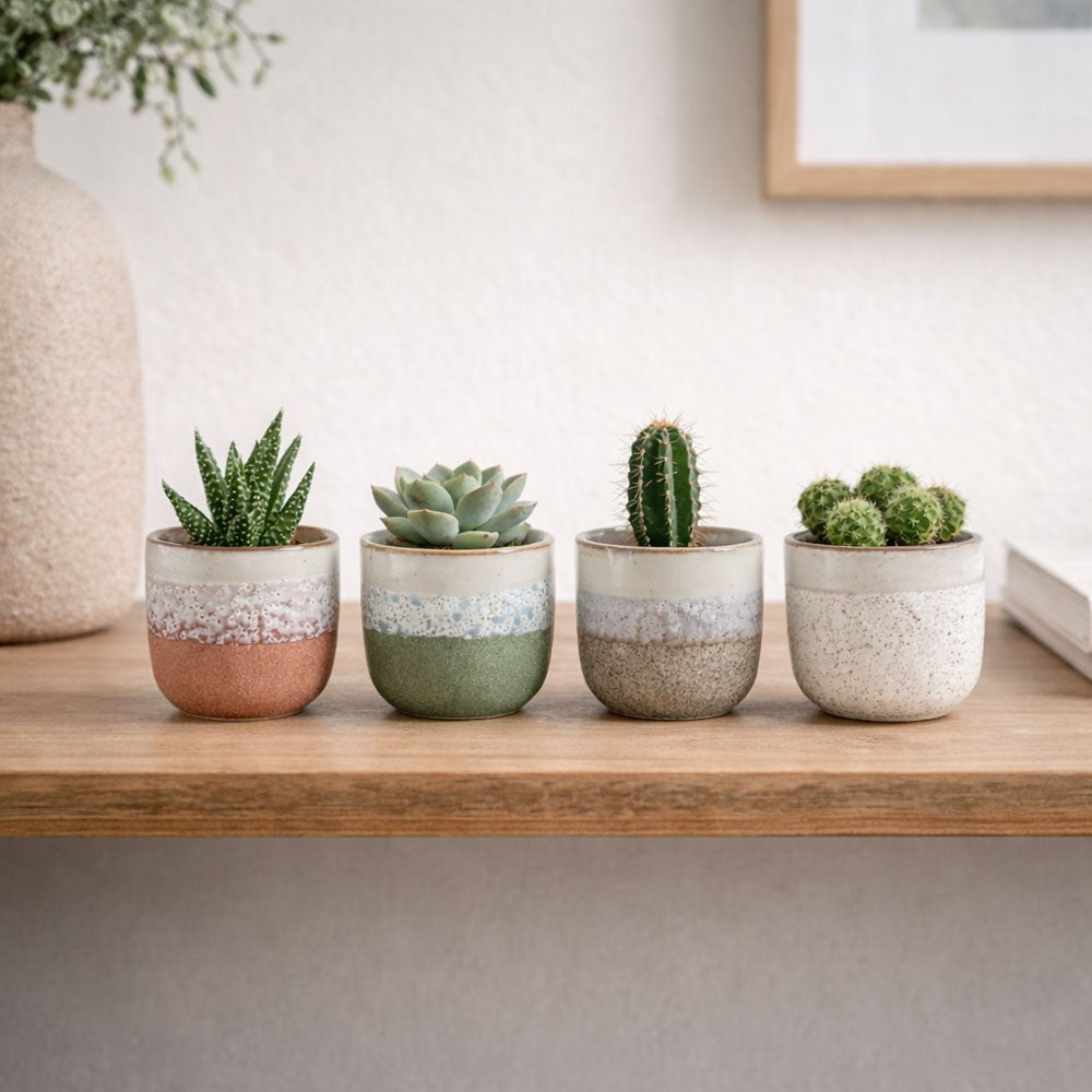 Hortus Green & White Bordeaux Stoneware Pot (6.5cm H x 7cm Dia)