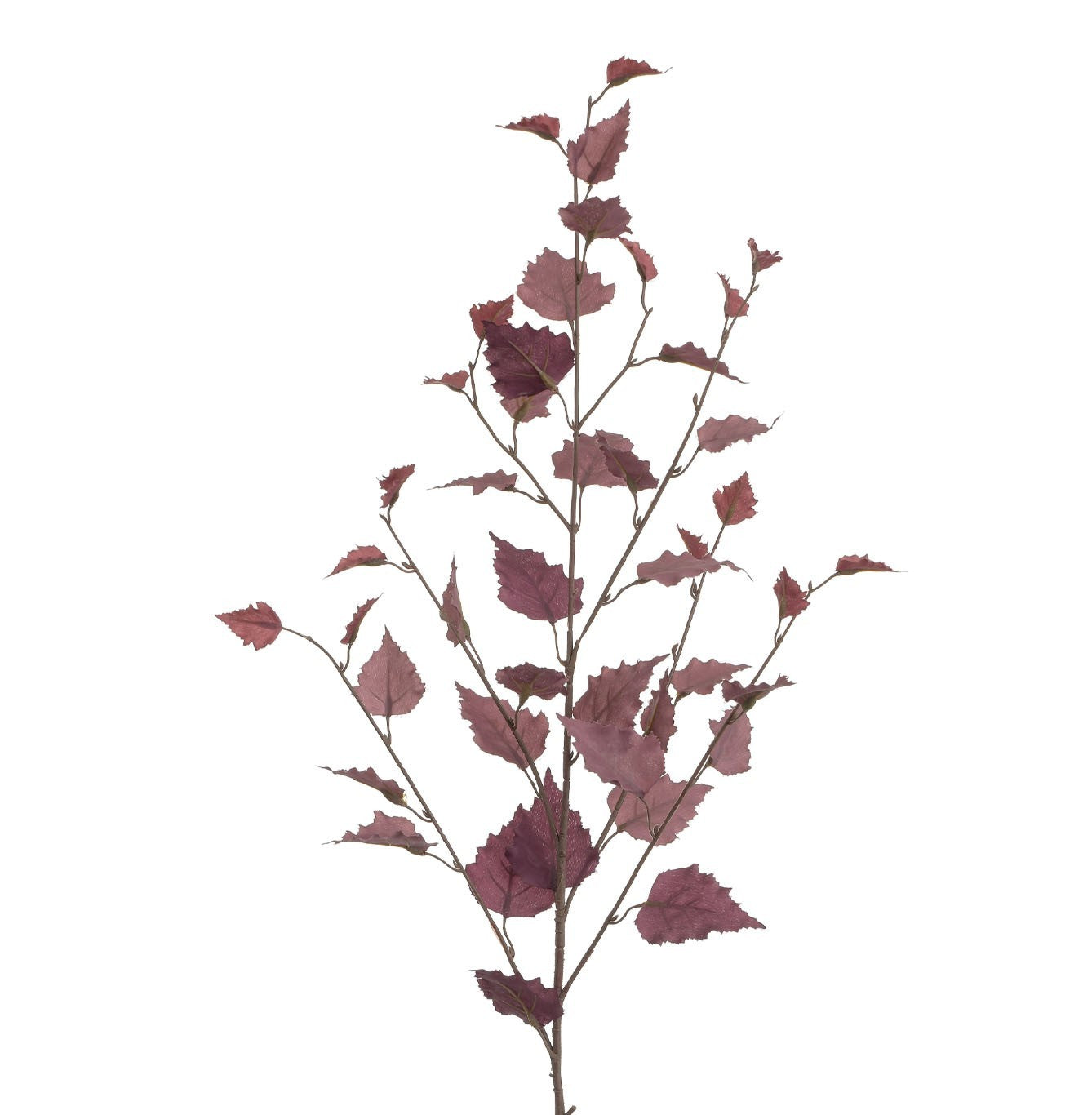 Burgundy Birch Spray (95cm)