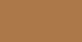 Coppertone Euro-Aerosols Spray Paint