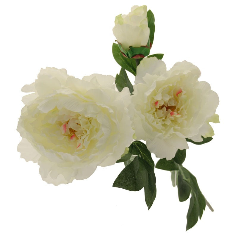 Three Peony Cream 82cm