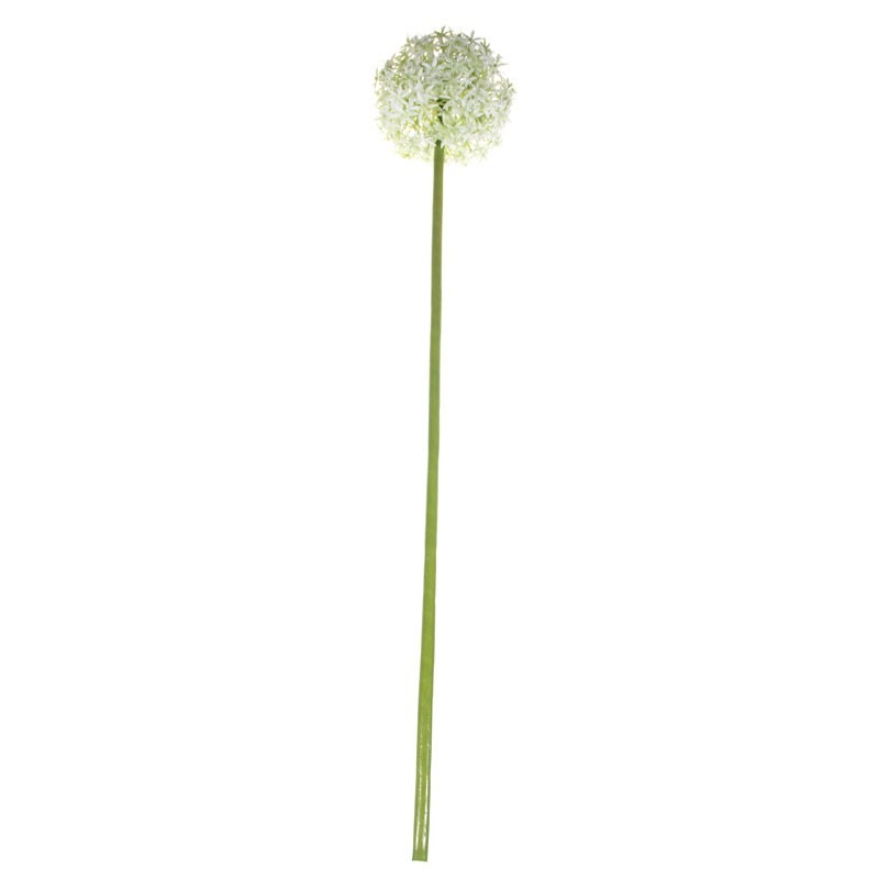76cm Single Allium Cream & White
