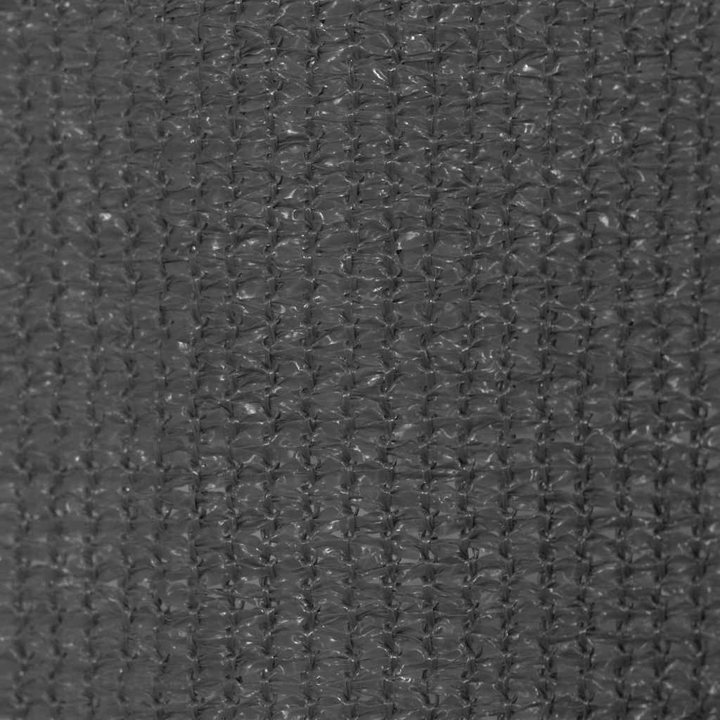 Outdoor Roller Blind 160x230 cm Anthracite