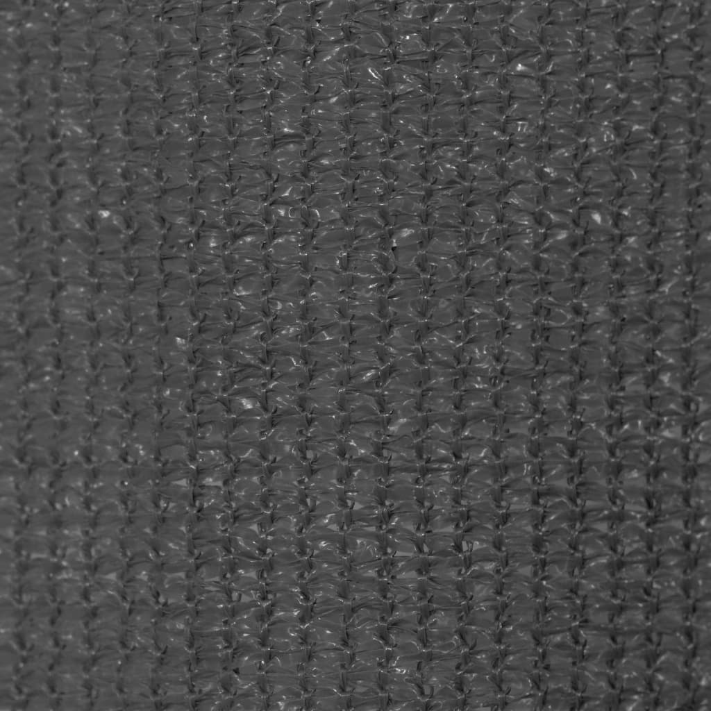 Outdoor Roller Blind 200x230 cm Anthracite