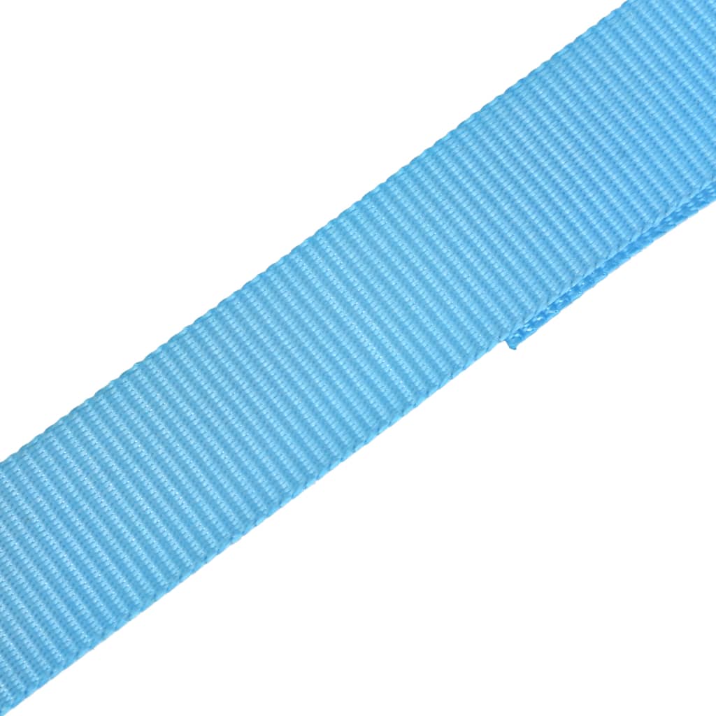 142653 vidaXL Ratchet Tie Down Straps 10 pcs 0,8 Tonnes 4mx25mm Blue