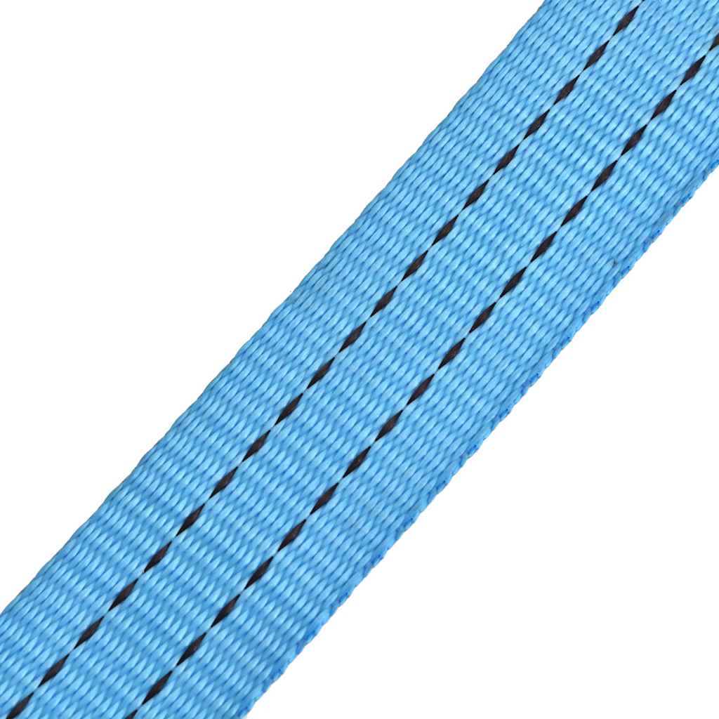 142654 vidaXL Ratchet Tie Down Straps 4 pcs 2 Tonnes 6mx38mm Blue