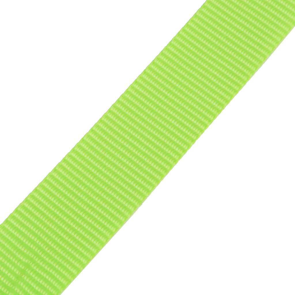 142664 vidaXL Straps 10 pcs 0,25 Tonnes 5mx25mm Fluorescent Green