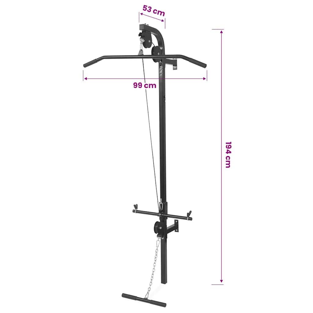 91369 vidaXL Wall-mounted Home Gym with 2 Pulleys