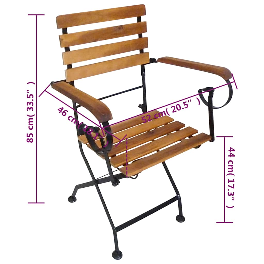 Folding Chairs 2 pcs Steel and Solid Acacia Wood