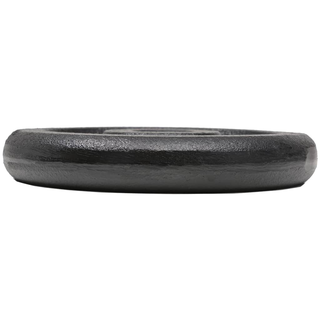 Weight Plates 8 pcs 8x2,5 kg Cast Iron