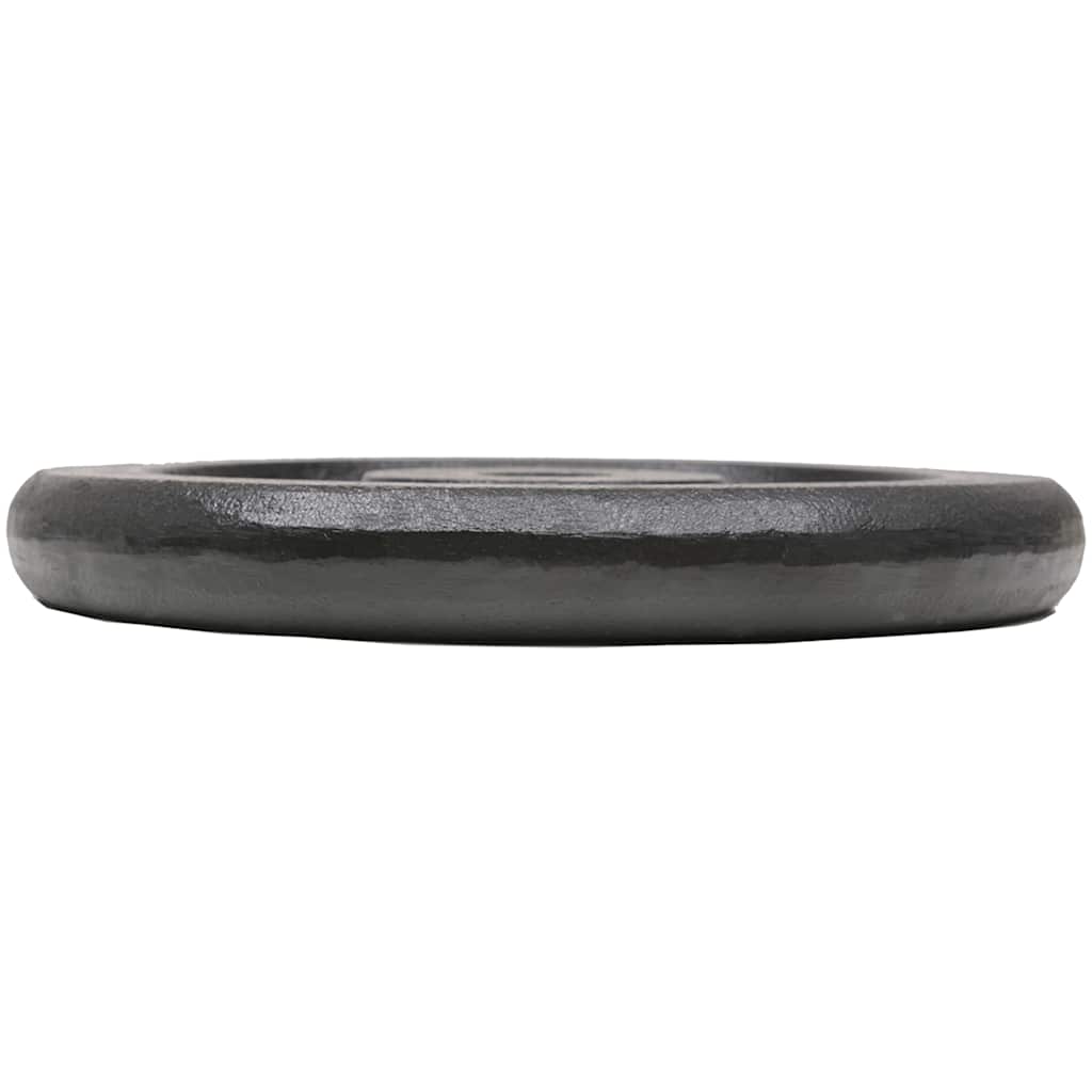 Weight Plates 4 pcs 4x7,5 kg Cast Iron